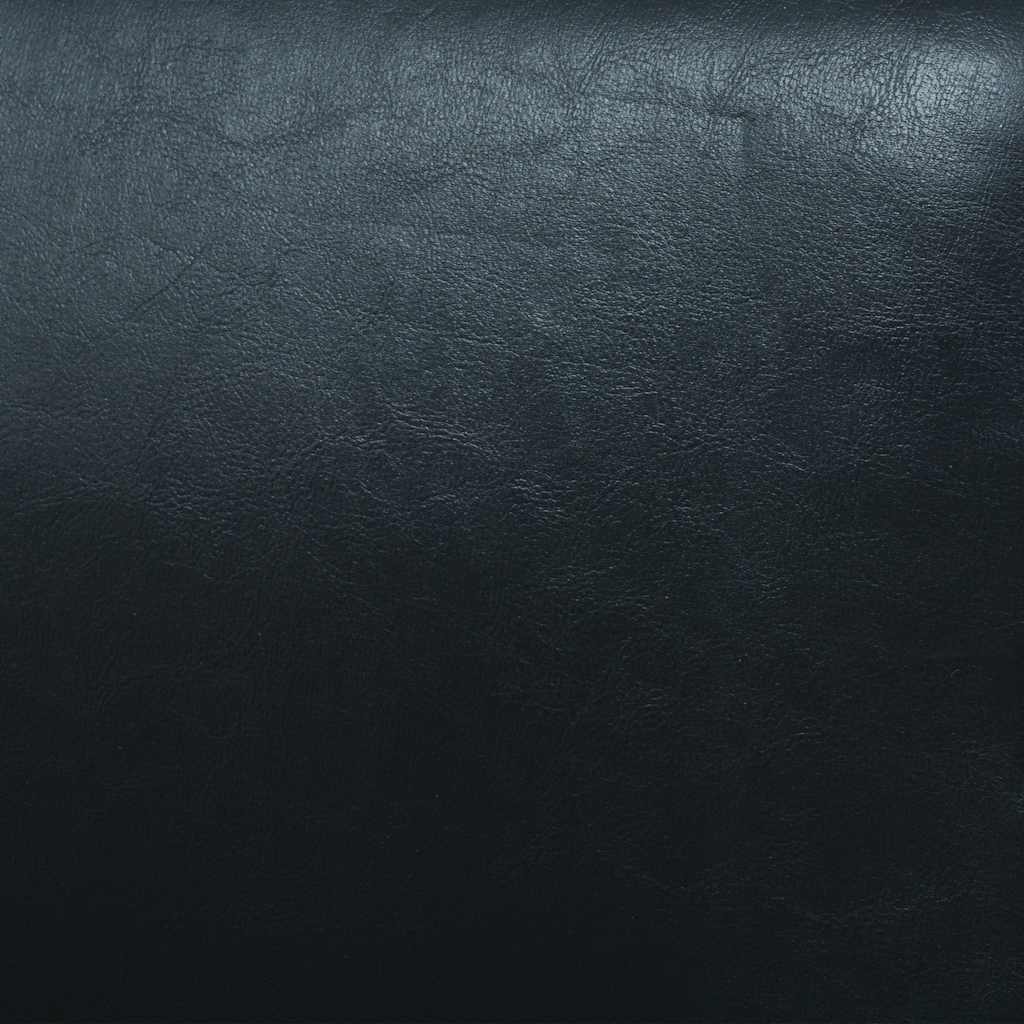 Canapé à 2 places Cuir synthétique Noir - XIOS