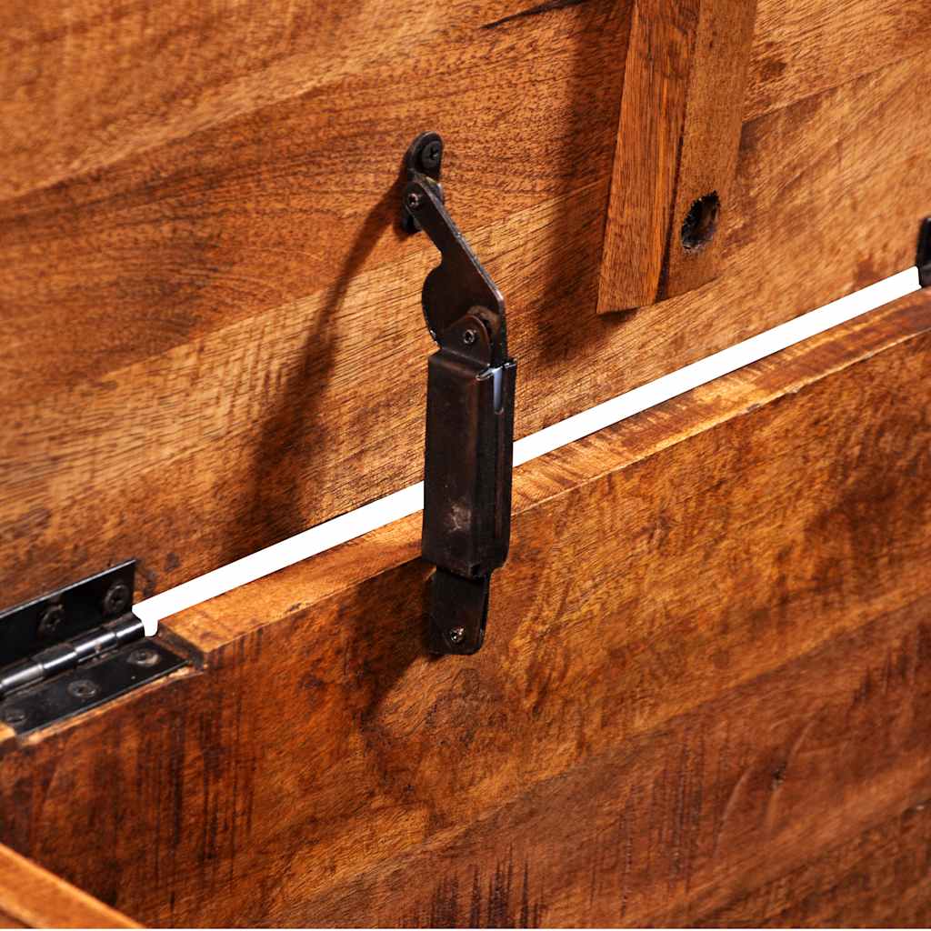 Coffre de rangement Bois de manguier brut - XIOS