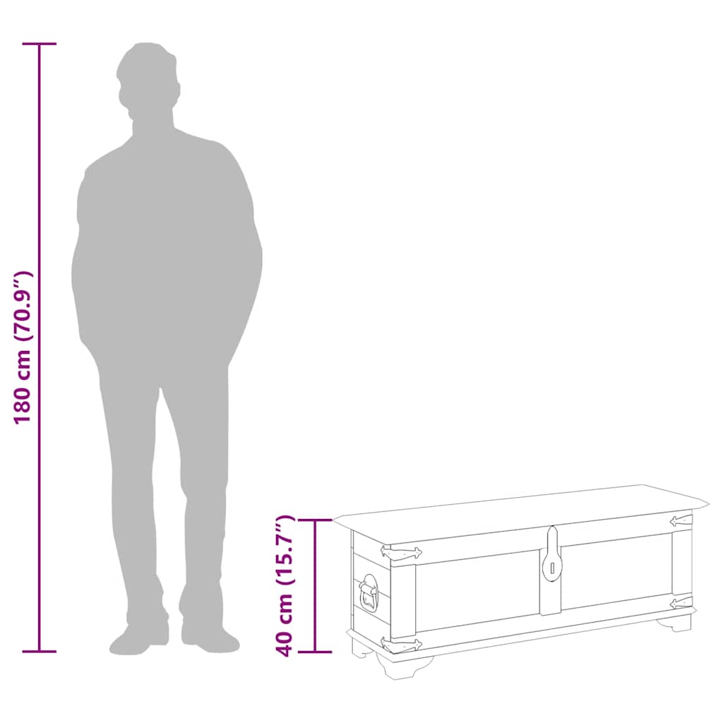 Coffre de rangement Bois de manguier brut - XIOS