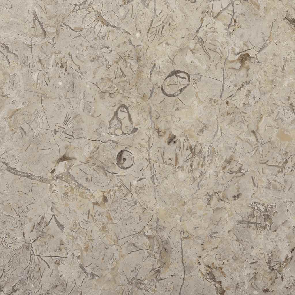 Dessus de table Gris Ø50x2,5 cm Marbre - XIOS