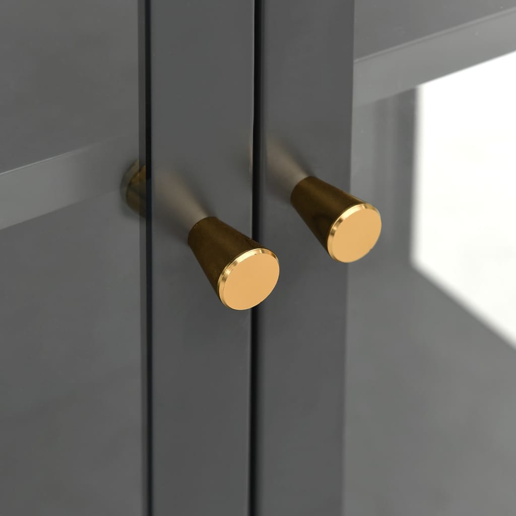 Vitrine d'exposition Anthracite 90x40x180 cm Acier/verre trempé - XIOS