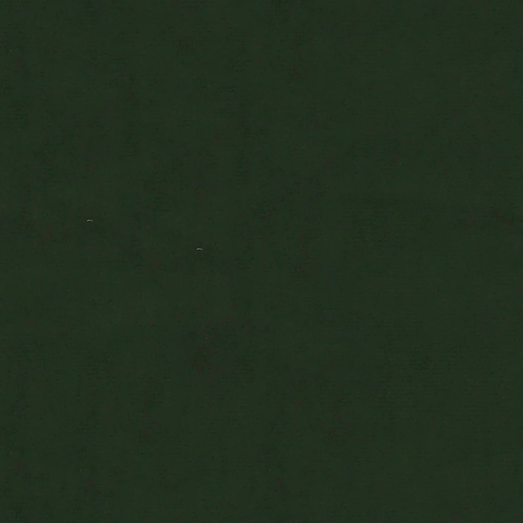 Chaises à manger lot de 2 Vert foncé Velours - XIOS