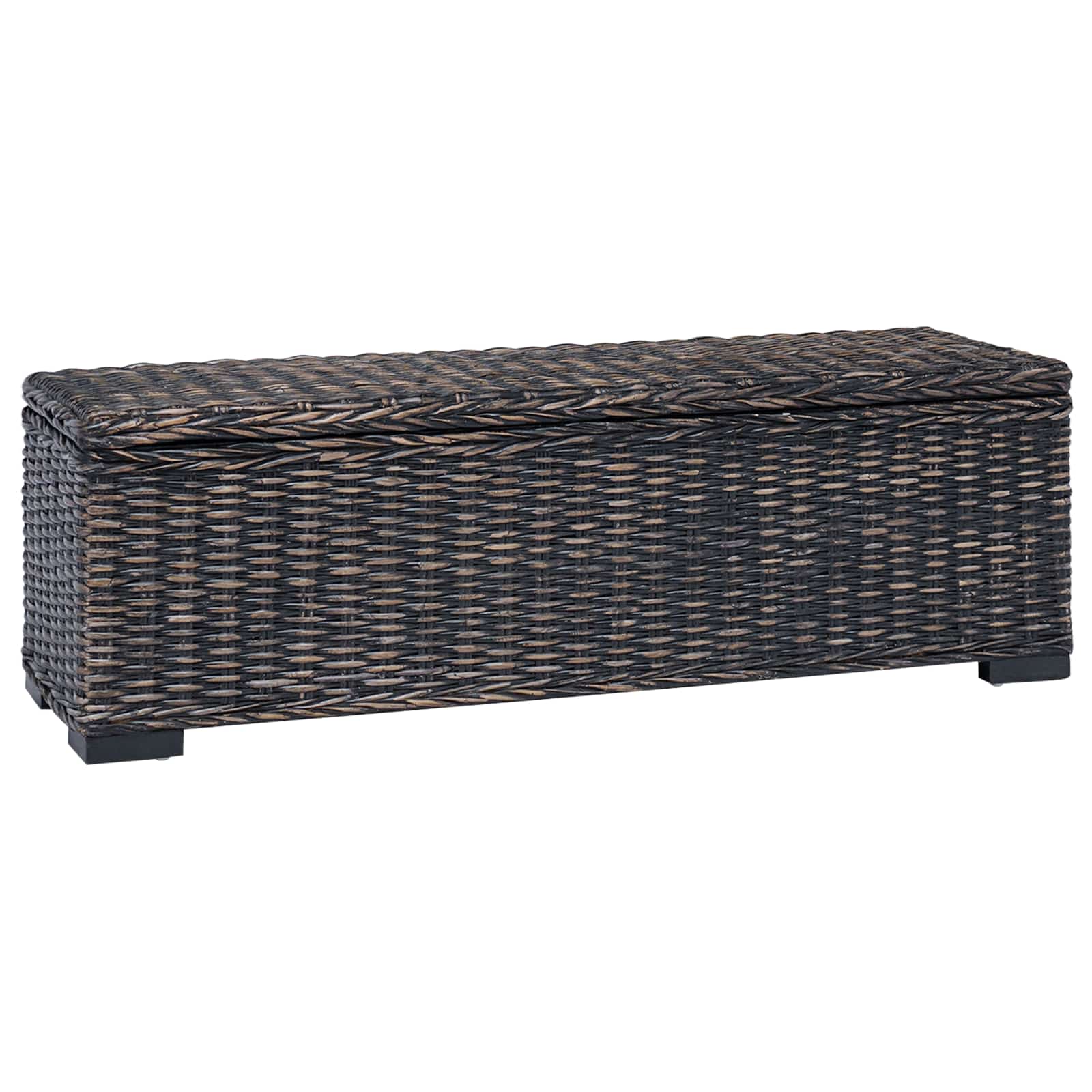 Boîte de rangement avec stockage Noir 110 x 35 x 45 cm - XIOS