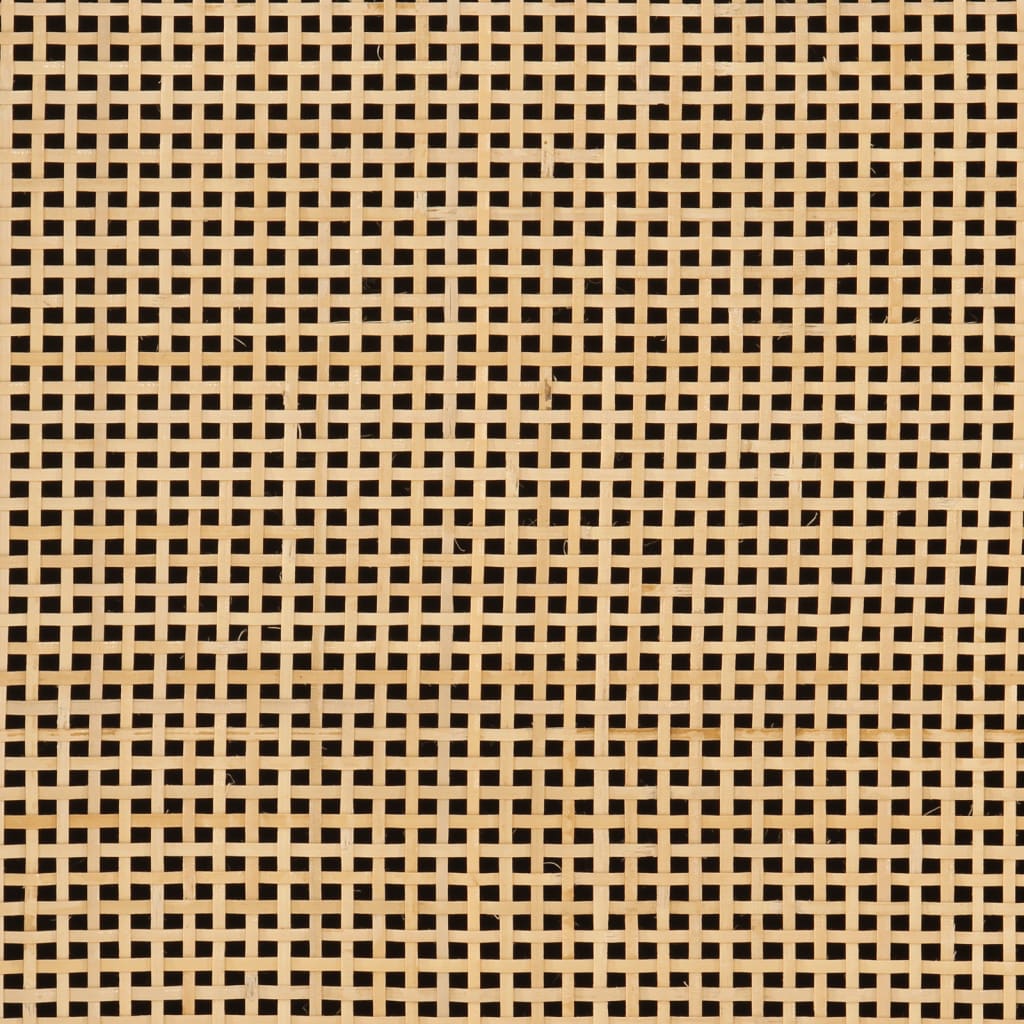 Meuble TV noir 110x30x40 cm bois massif de manguier et fer - XIOS