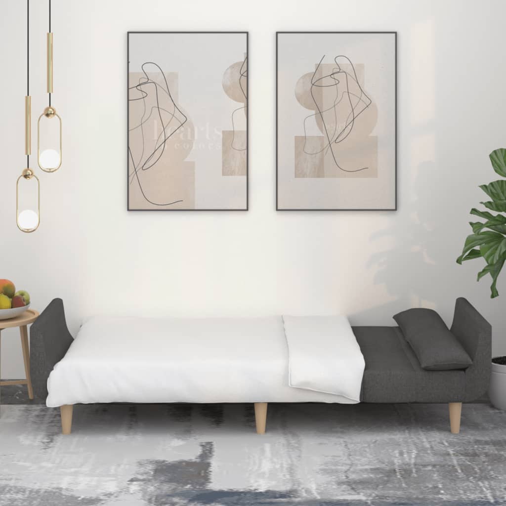 Canapé-lit à 2 places avec deux oreillers Gris foncé Tissu - XIOS