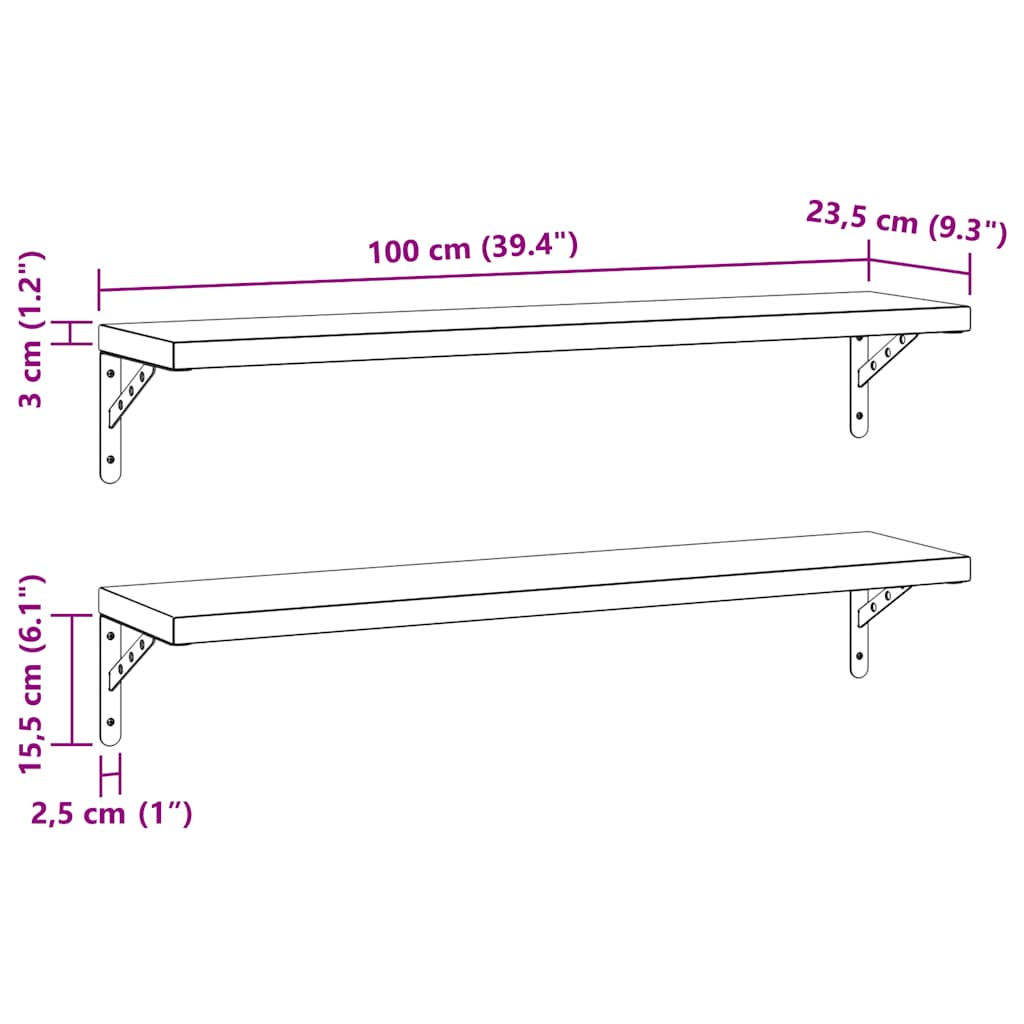 Étagères murales 2 pcs 100x23,5 cm argenté acier inoxydable - XIOS