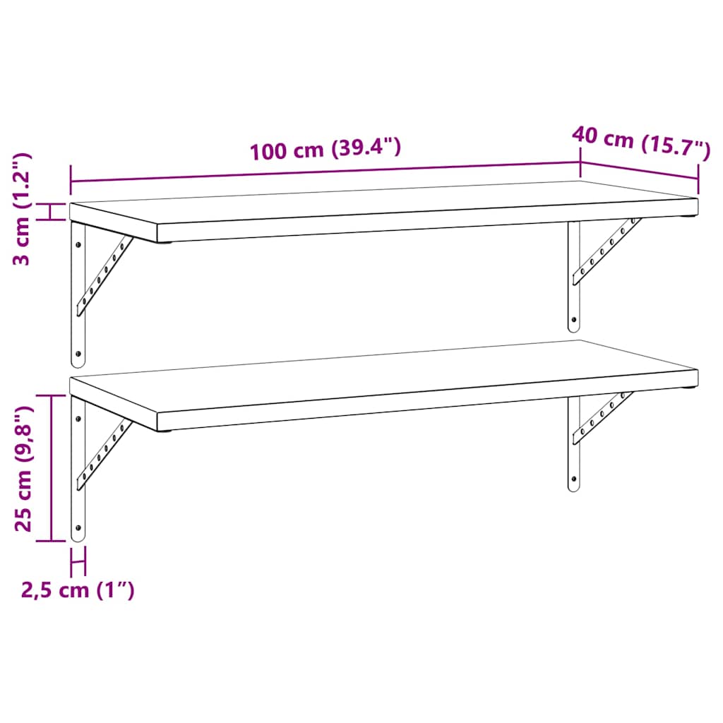 Étagères murales 2 pcs 100x40 cm noir acier inoxydable - XIOS