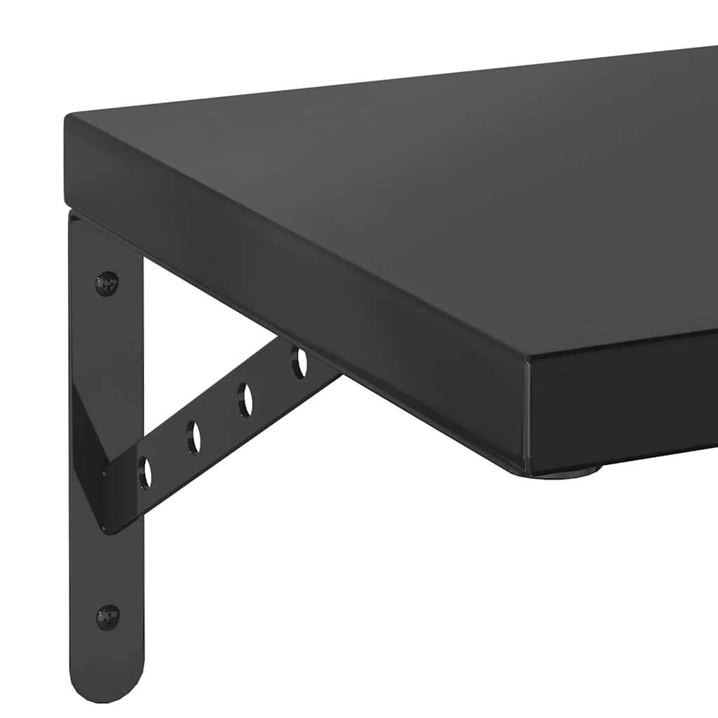 Étagères murales 2 pcs 100x30 cm noir acier inoxydable - XIOS