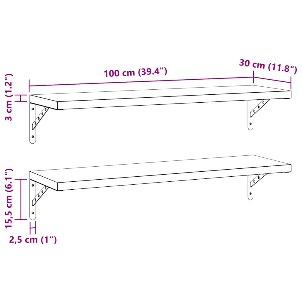 Étagères murales 2 pcs 100x30 cm noir acier inoxydable - XIOS
