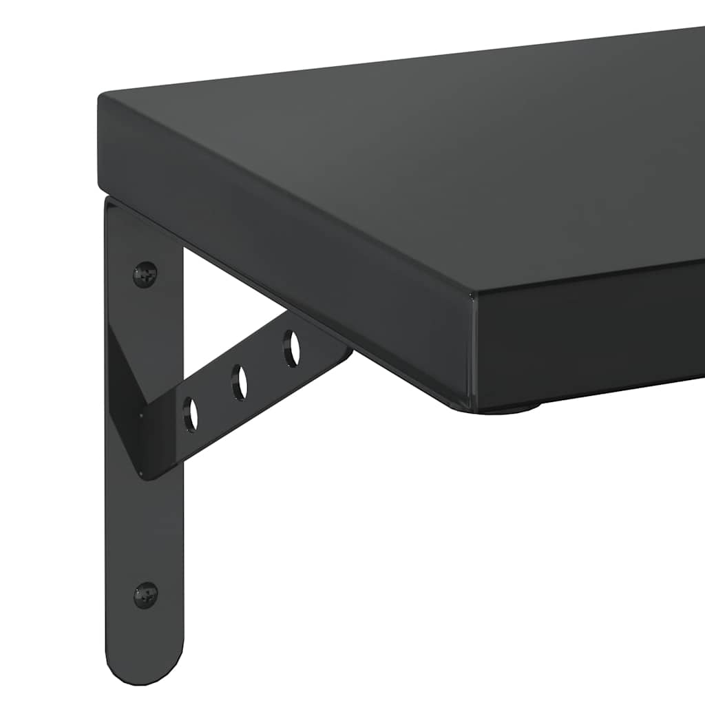 Étagères murales 2 pcs 50x23,5 cm noir acier inoxydable - XIOS