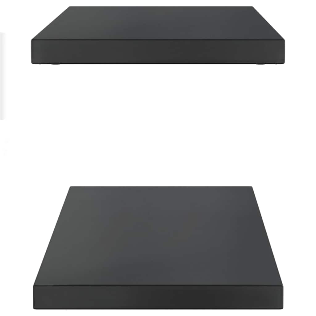 Étagères murales 2 pcs 100x30x3 cm noir acier inoxydable - XIOS