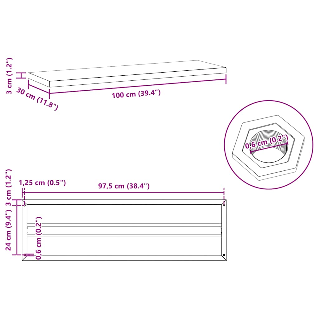 Étagères murales 2 pcs 100x30x3 cm noir acier inoxydable - XIOS