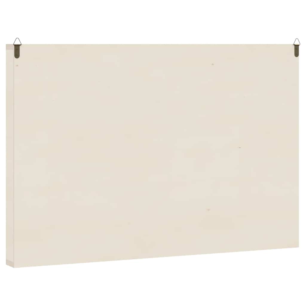 Vitrine de collection en bois avec 60 compartiments 60 x 4,5 x 40,5 cm - XIOS