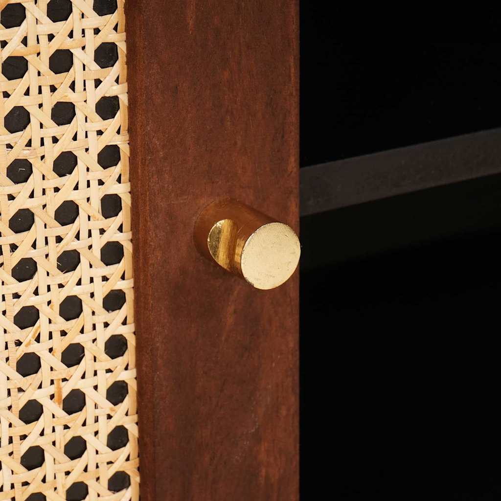 Meubles et étagères de rangement pour médias avec porte Marron - XIOS