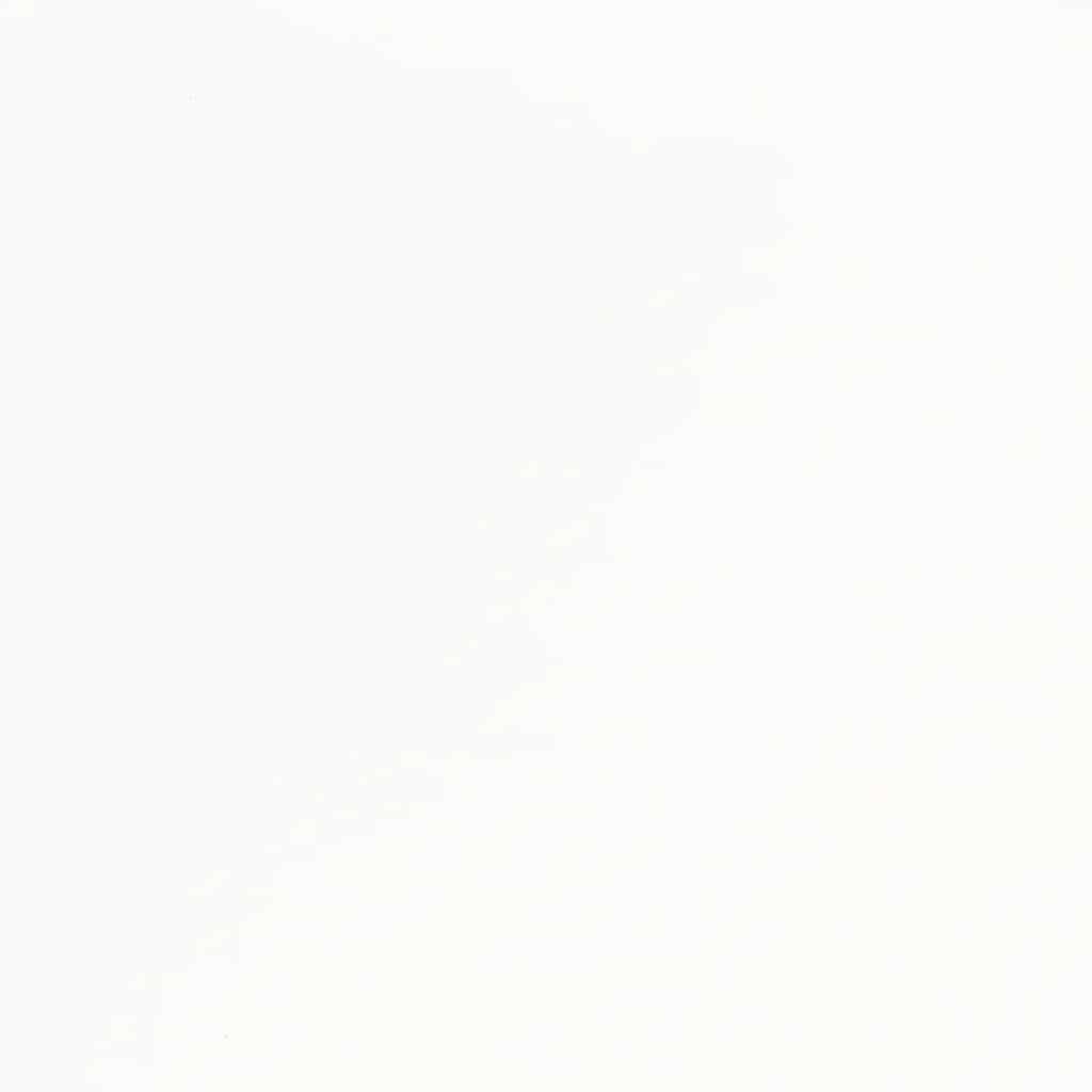 Chaises à manger 2 pcs blanc bois massif caoutchouc - XIOS