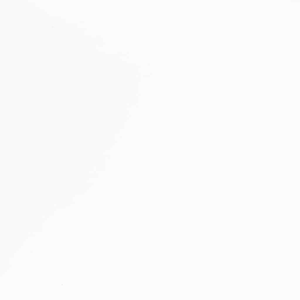 Chaises à manger 2 pcs blanc bois massif caoutchouc - XIOS