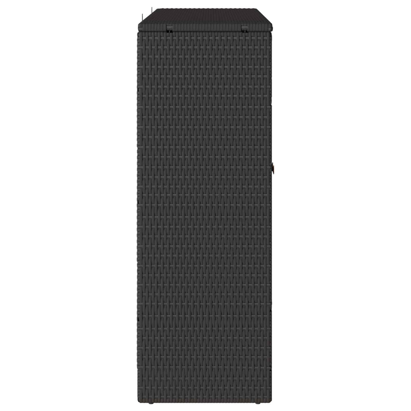 Armoire de rangement avec étagère Noir 100 x 36 x 102 cm Rotin - XIOS