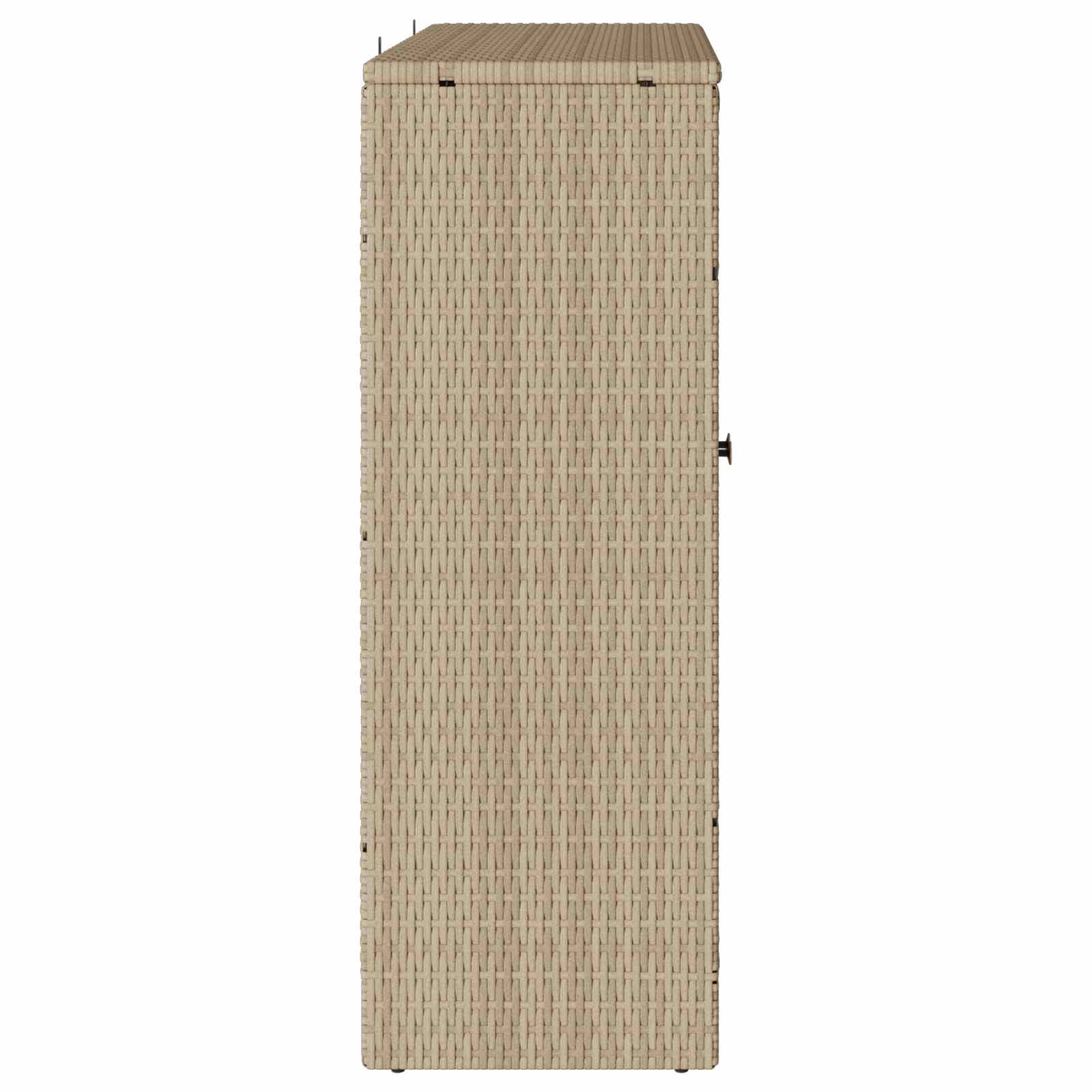 Armoire de rangement avec étagère Beige 100 x 36 x 102 cm Rotin - XIOS