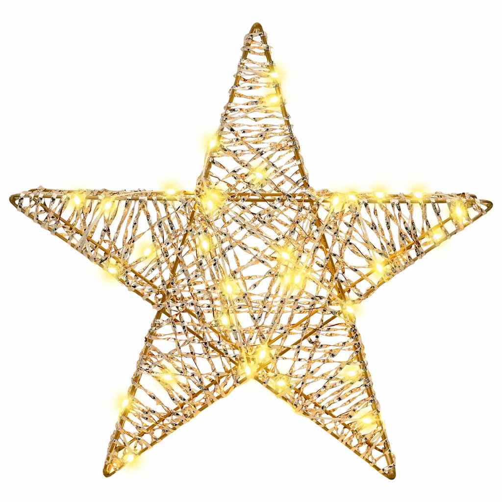 Étoile en 3D avec 50 LED Blanc chaud 55 x 52.5 x 9 cm PET - XIOS