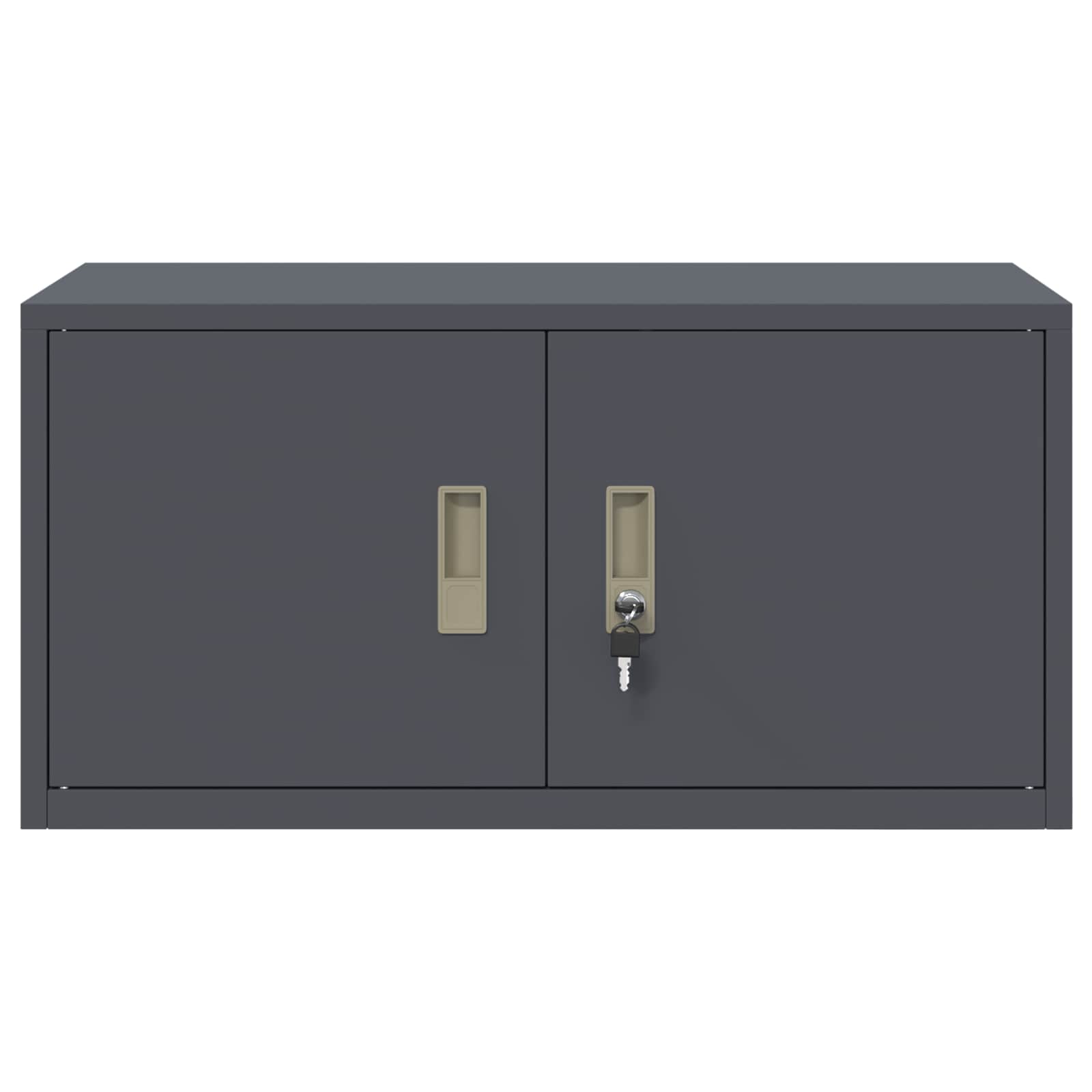 Armoire de rangement avec stockage Anthracite 80 x 40 x 40 cm - XIOS