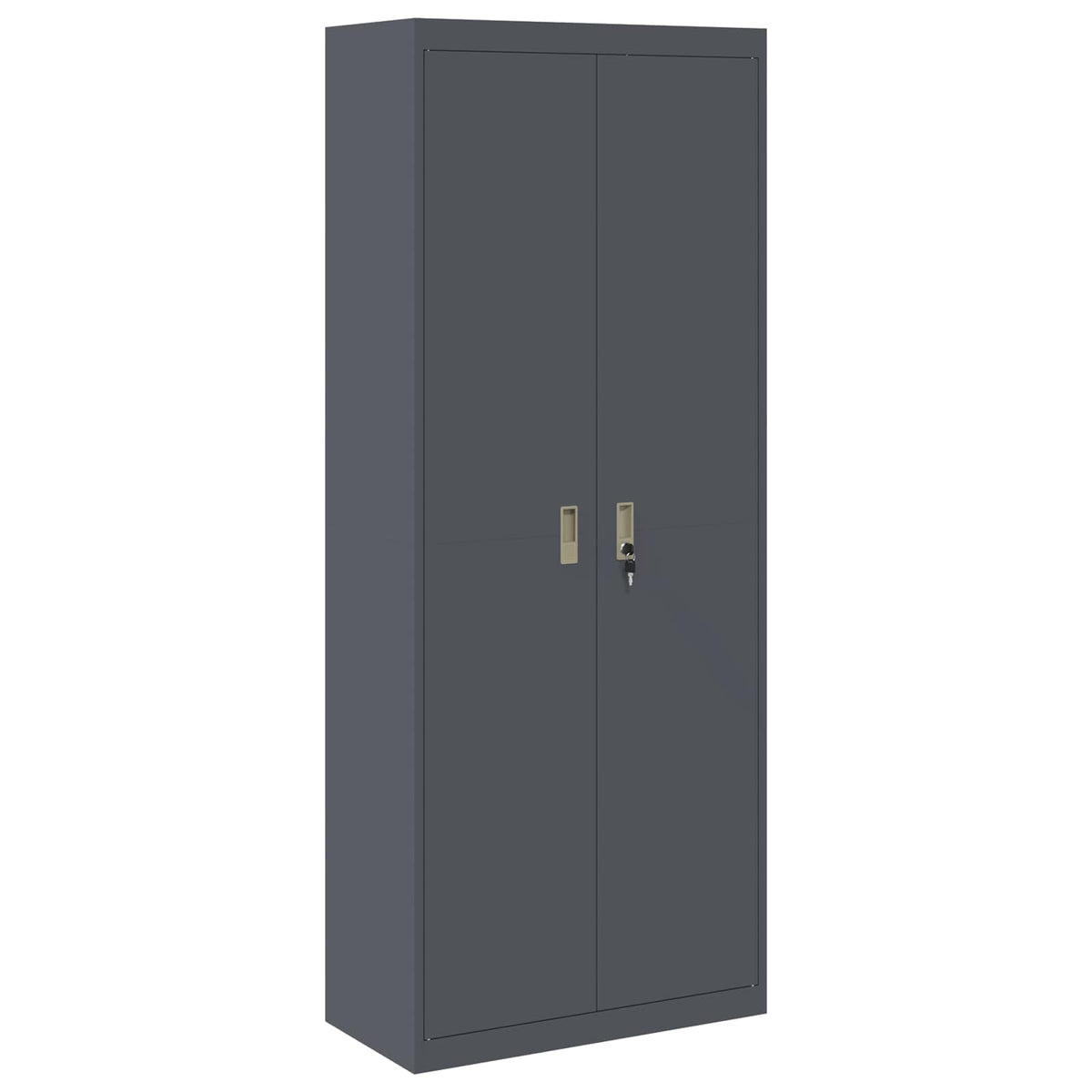 Armoire de rangement Anthracite 80 x 40 x 200 cm Acier