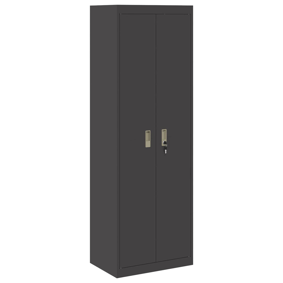 Armoire de rangement Noir 60 x 40 x 180 cm Acier