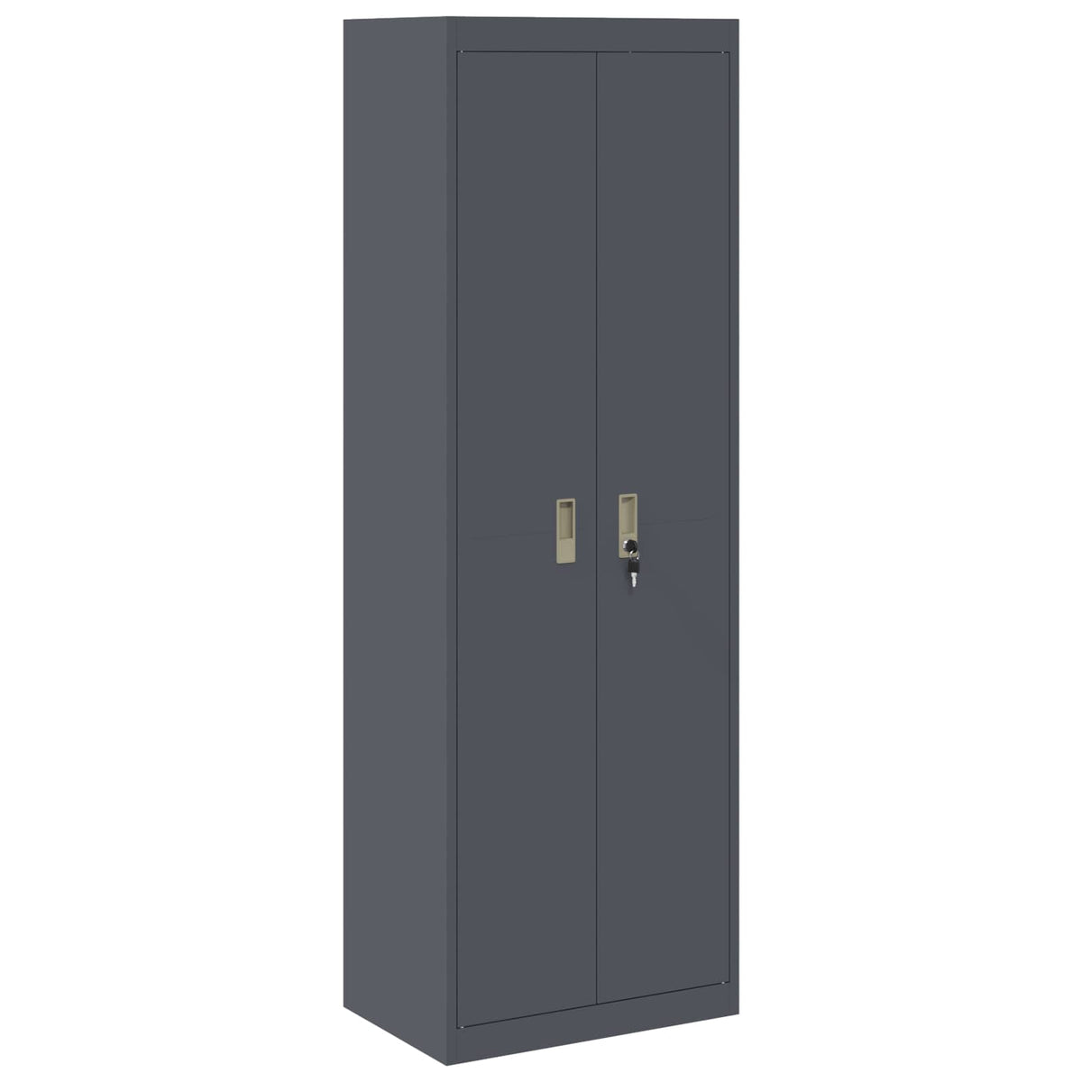 Armoire de rangement Anthracite 60 x 40 x 180 cm Acier