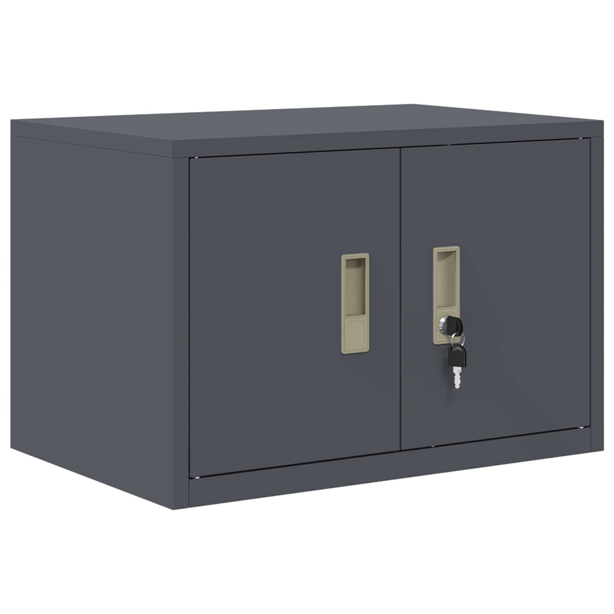 Armoire de rangement 2 pc Anthracite 60 x 40 x 130 cm Acier