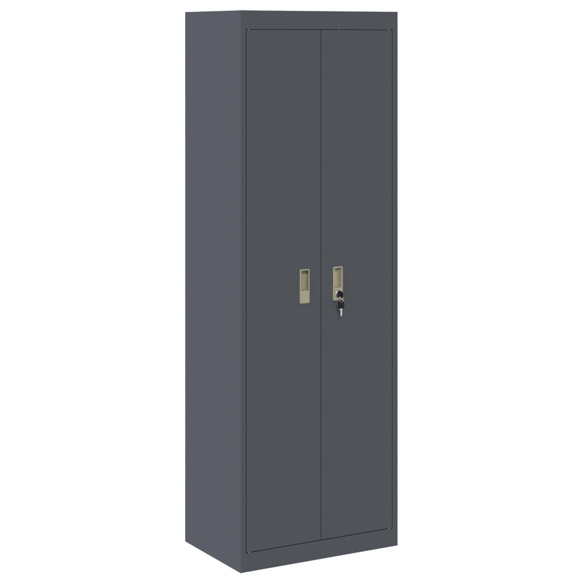 Armoire de rangement 2 pc Anthracite 60 x 40 x 220 cm Acier