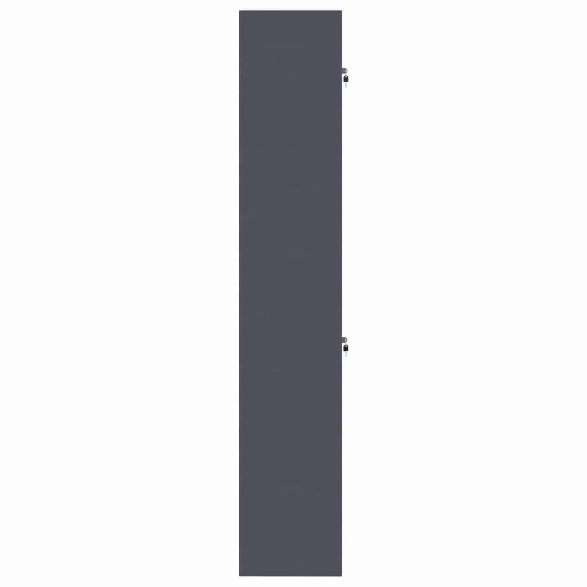 Armoire de rangement 2 pc Anthracite 60 x 40 x 220 cm Acier