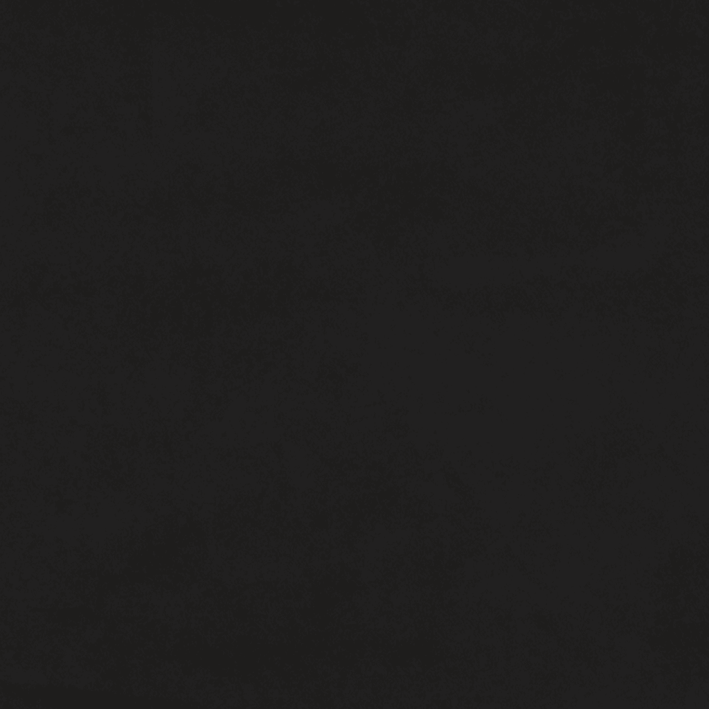 Sommier à lattes de lit et matelas Noir 80x200 cm Velours