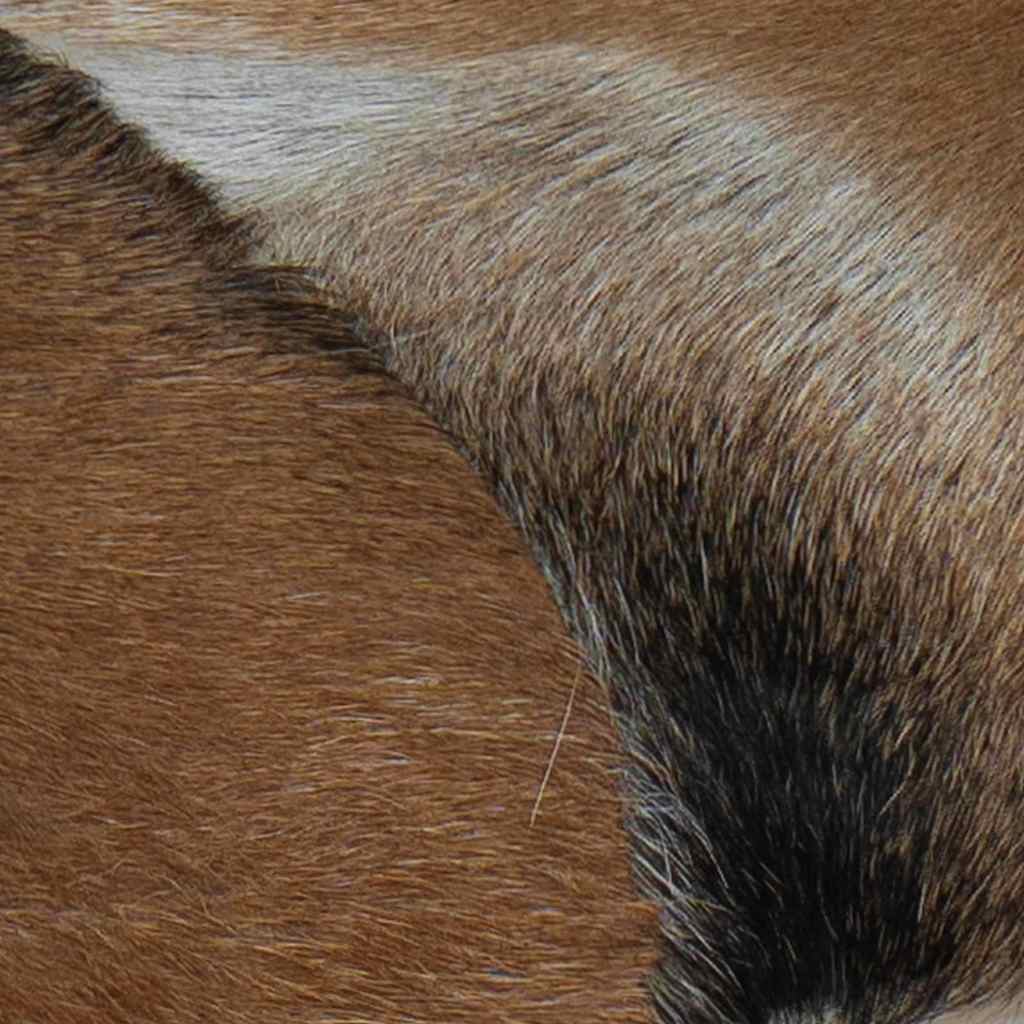 Banc cuir de chèvre Teck - XIOS