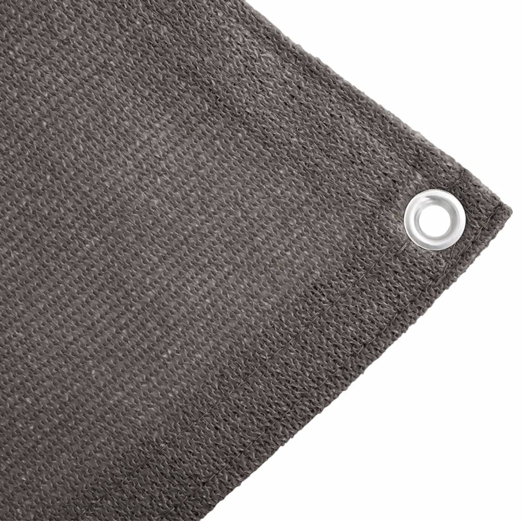 Tapis de tente 250 x 500 cm Anthracite Accessoires de tente vidaXL