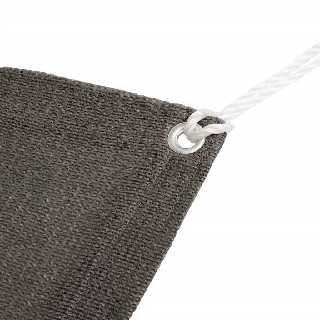 Tapis de tente 250 x 500 cm Anthracite Accessoires de tente vidaXL