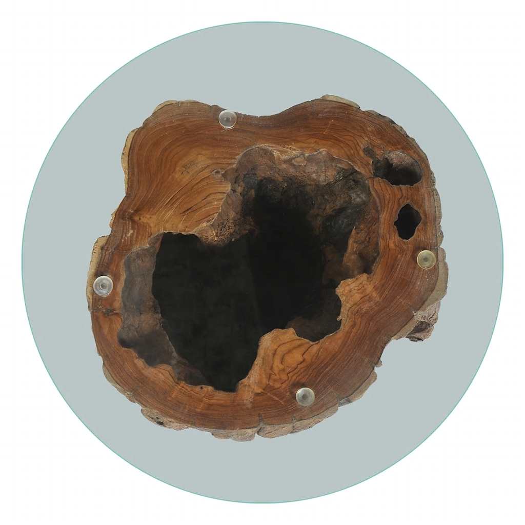 Table basse Teck Verre 50x40 cm - XIOS