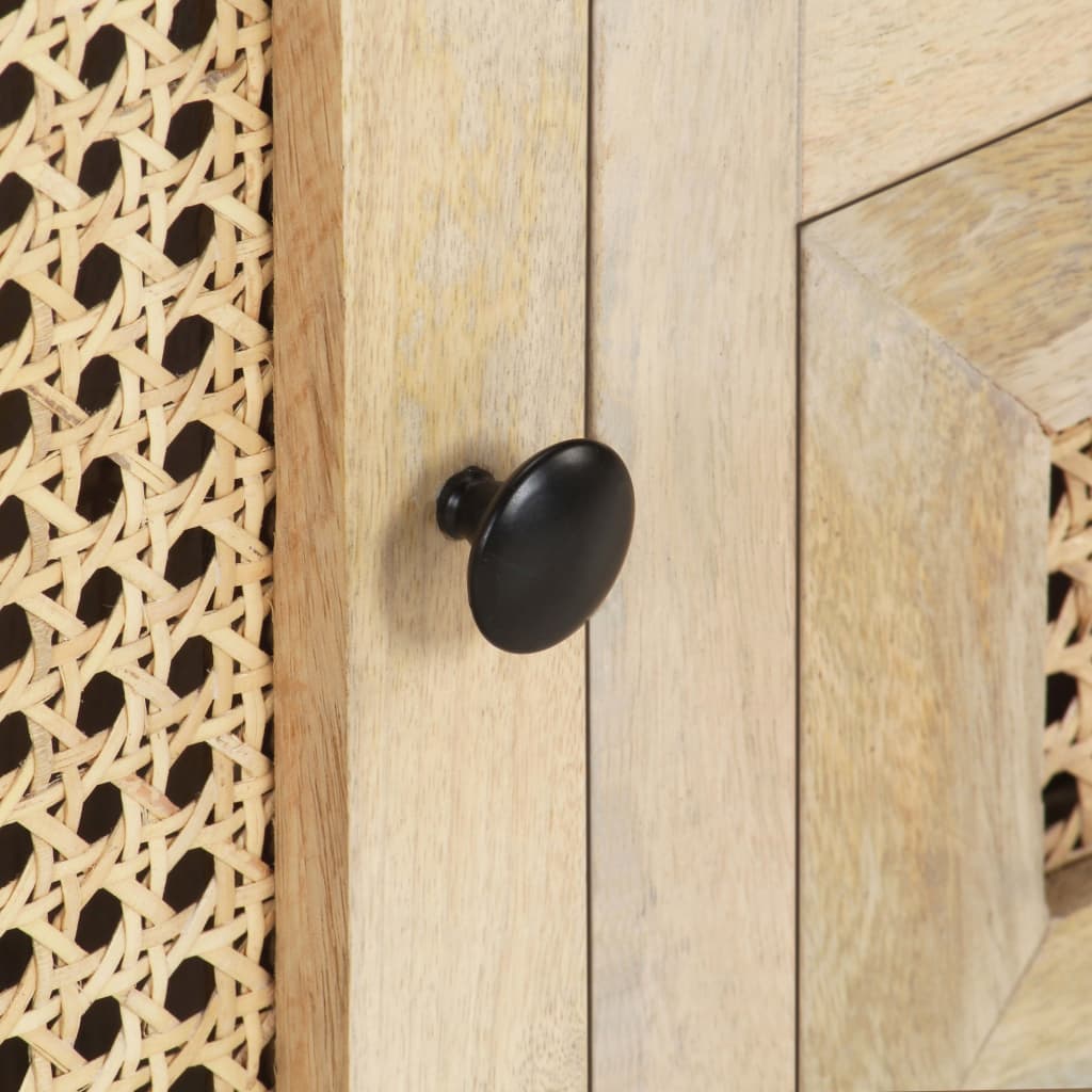 Meuble TV 120x30x40 cm Bois de manguier et canne naturelle Meubles TV vidaXL   