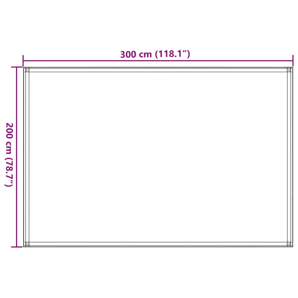 Tapis de tente 200x300 cm Noir Accessoires de tente vidaXL