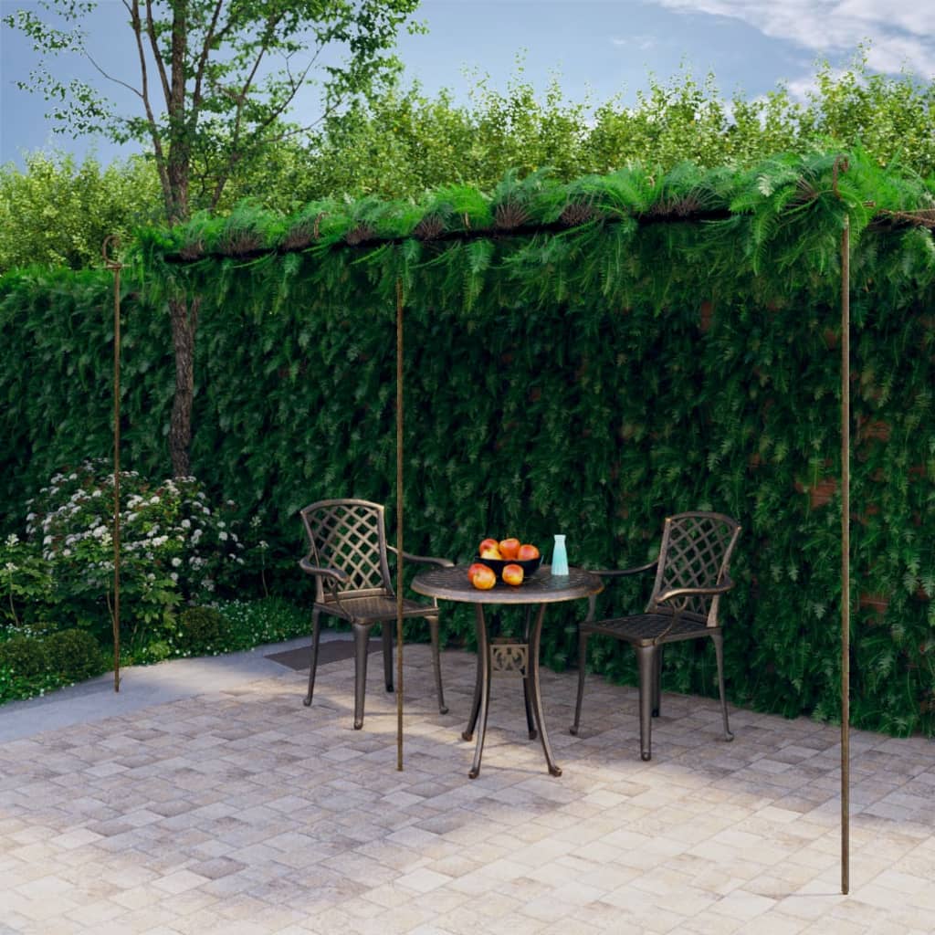 Pergola de jardin Marron antique 6x3x2,5 m Fer - XIOS