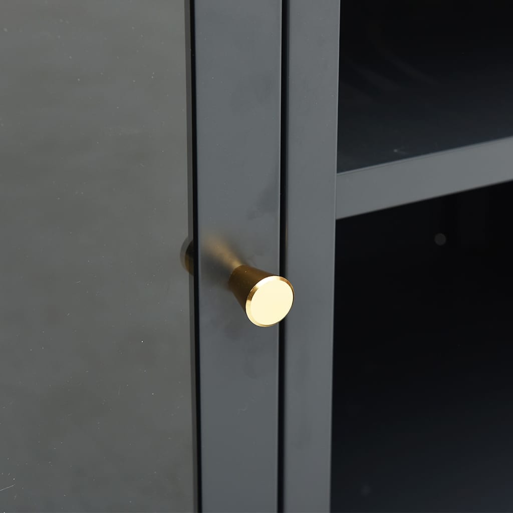 Meuble TV Anthracite 105x35x52 cm Acier et verre - XIOS