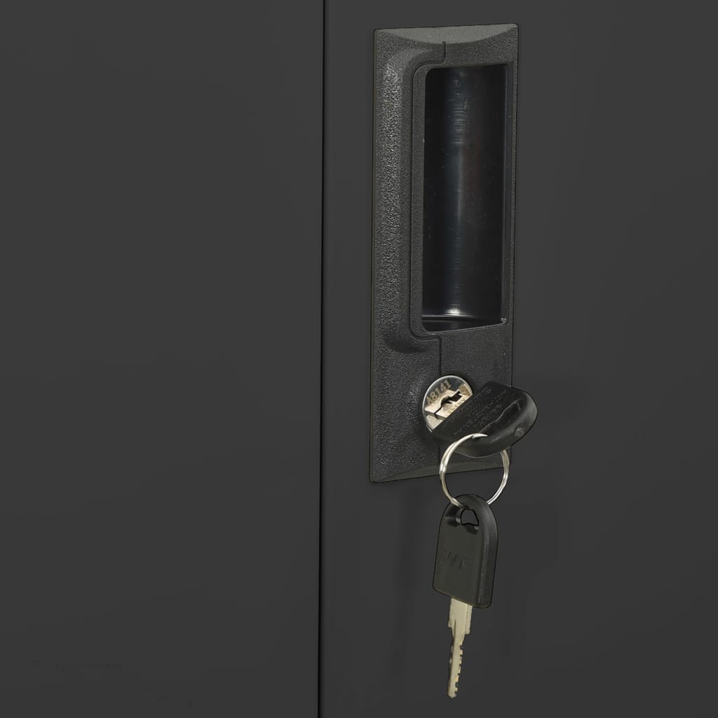 Armoire de bureau Anthracite 90x40x180 cm Acier et verre trempé