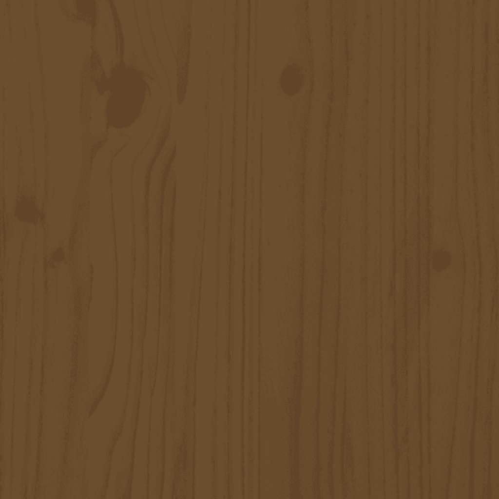 Salon de jardin 2 pcs avec coussins marron miel bois massif