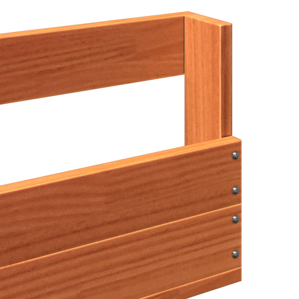 Étagères à chaussures murales 2 pcs cire marron 110x8,5x23,5 cm - XIOS