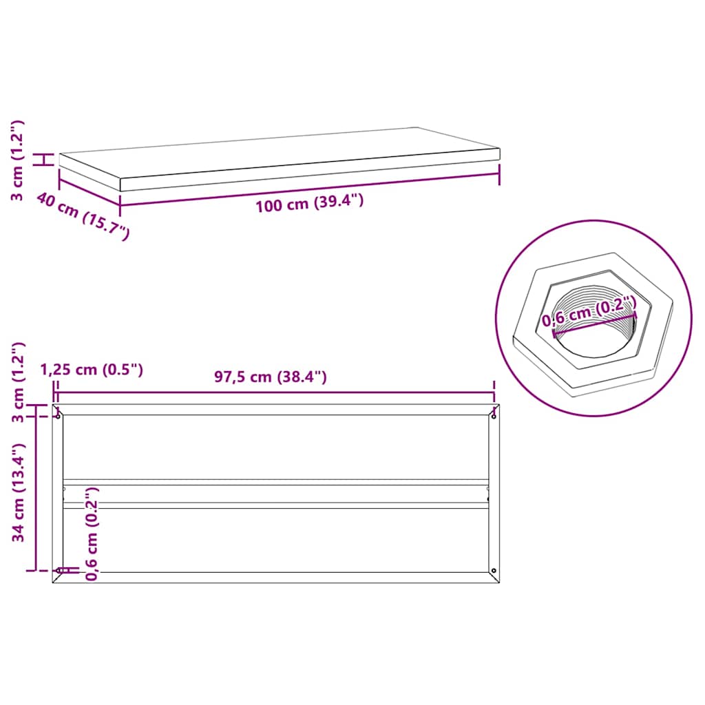 Étagères murales 2 pcs 100x40x3 cm argenté acier inoxydable - XIOS