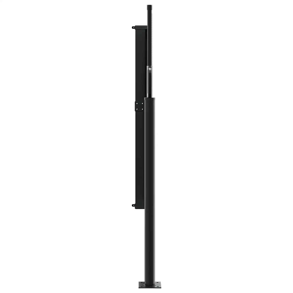 Auvent latéral rétractable noir 100x300 cm Parasols & voiles d'ombrage vidaXL