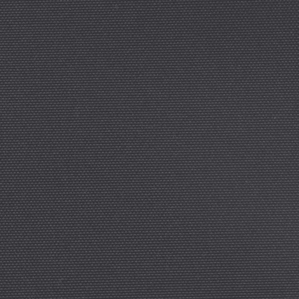 Auvent latéral rétractable noir 100x300 cm Parasols & voiles d'ombrage vidaXL