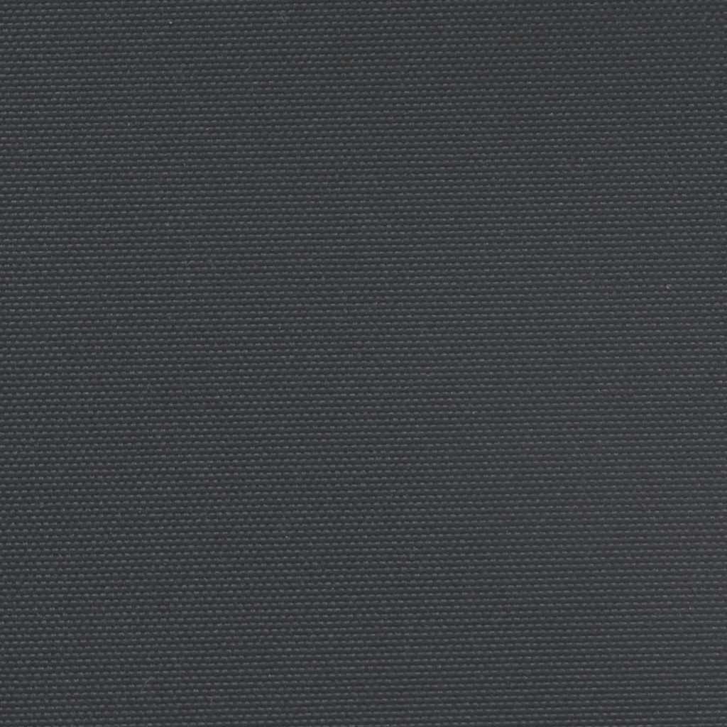 Auvent latéral rétractable noir 100x500 cm Parasols & voiles d'ombrage vidaXL