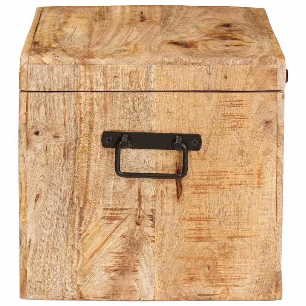 Boîte de Rangement avec stockage Marron Bois de mangue massif - XIOS