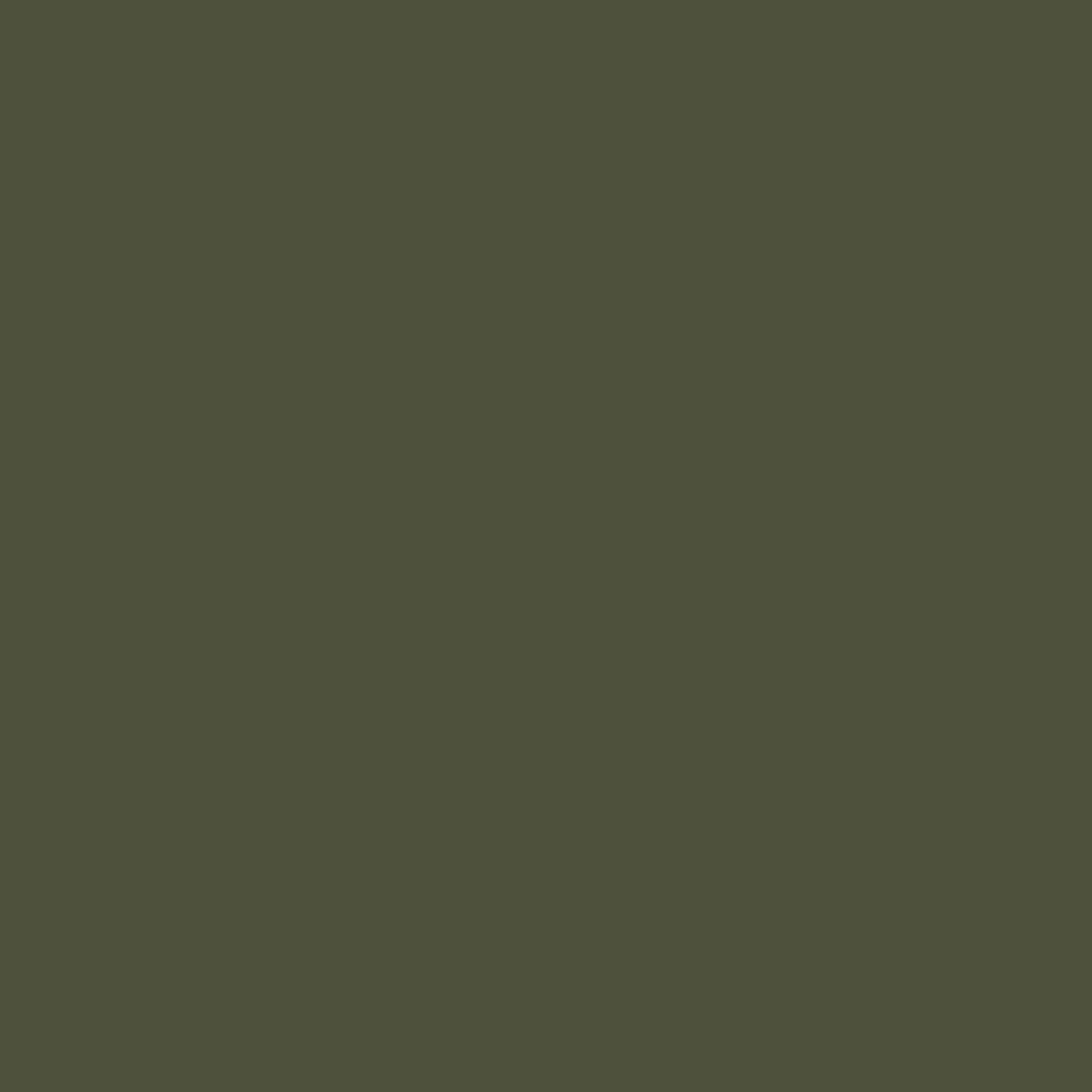 Panneau décoratif de jardin Vert olive 50 x 140 cm - XIOS