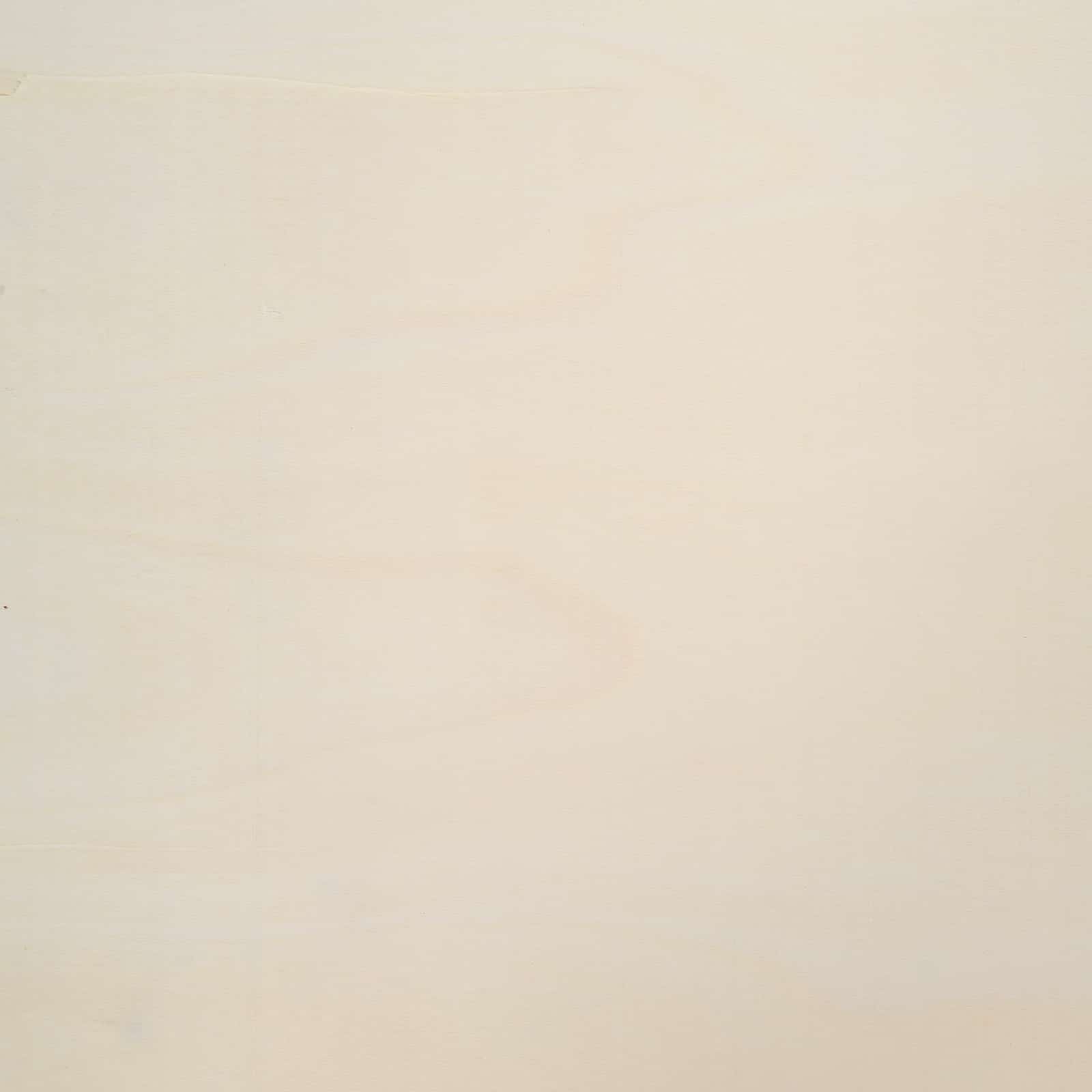 Vitrine Murale Beige 50 x 4,5 x 96 cm Bois d'ingénierie - XIOS