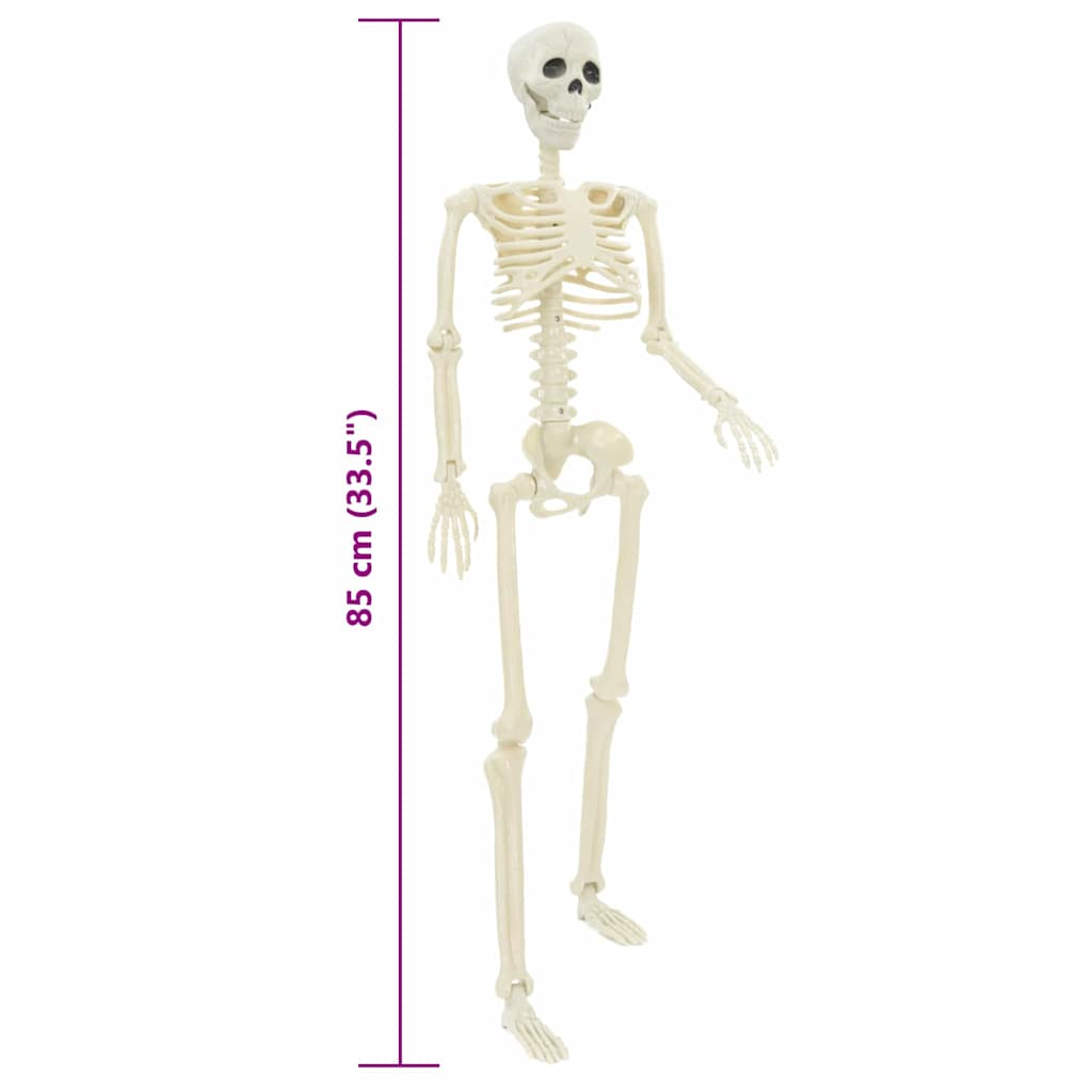 Squelette d'Halloween 2 pcs Blanc 85 cm PVC - XIOS